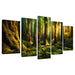 The Mighty Redwoods And Their Ecosystem Oil Paintings Frame