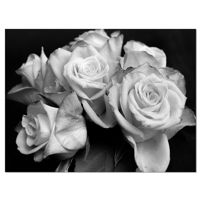 Bunch Of Roses Black And White Floral Canvas Art Print