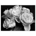 Bunch Of Roses Black And White Floral Canvas Art Print