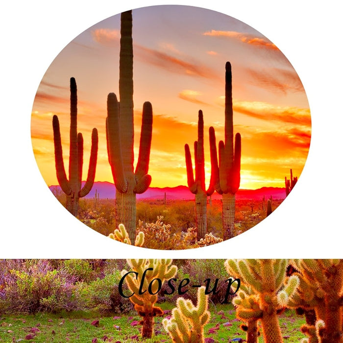 Natural Landscape Wall Art Sunset With Saguaros In Desert