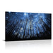 Visual Art Decor Blue Starry Night Forest Tree Canvas Wall Art