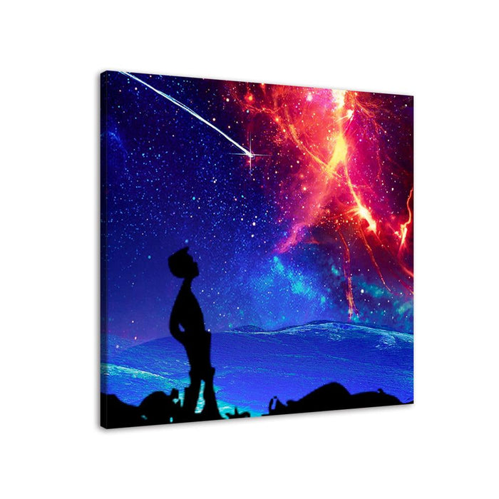 Constellation 1 Piece HD Multi Panel Canvas Wall Art Frame - Original Frame