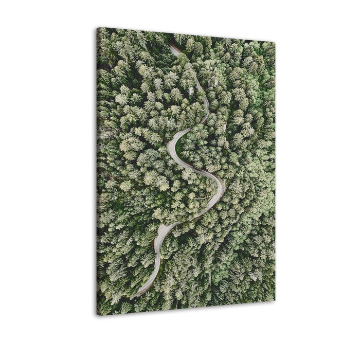 Walking Through The Trees 1 Piece HD Multi Panel Canvas Wall Art Frame