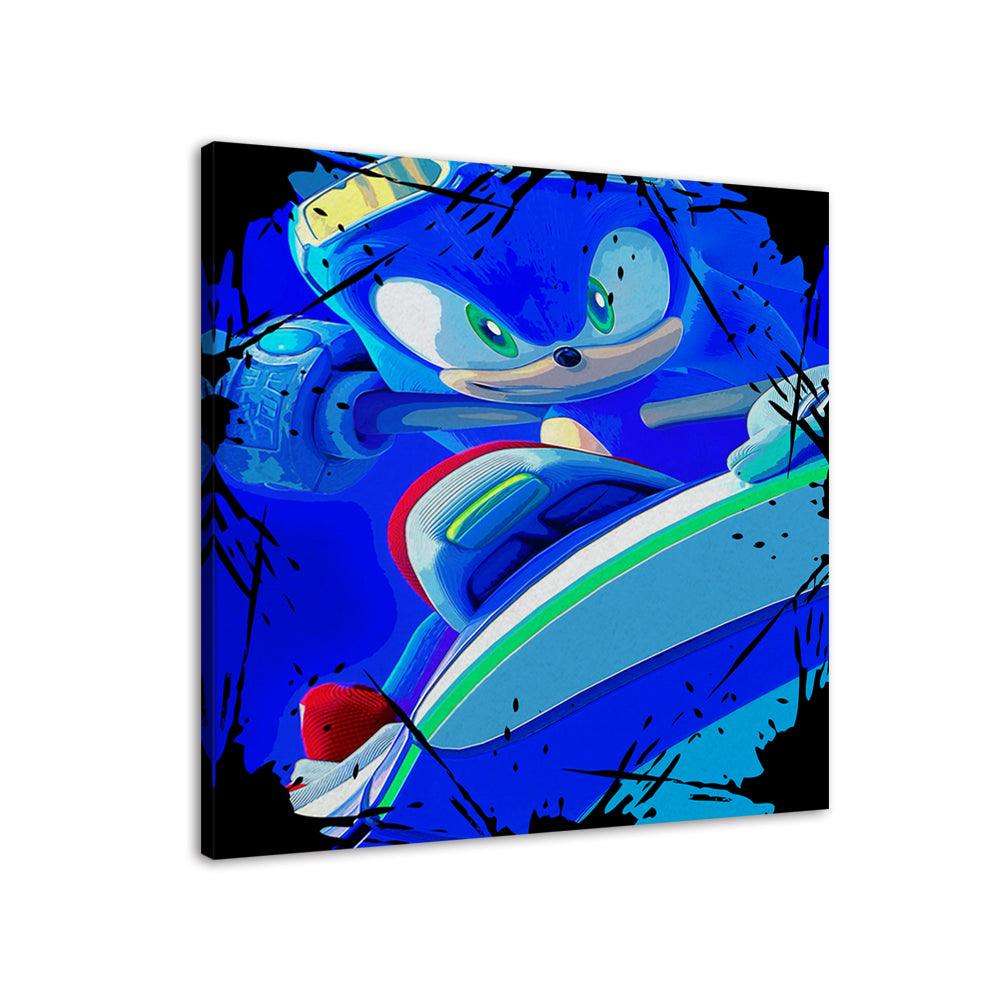 The Skater Sonic 1 Piece HD Multi Panel Canvas Wall Art Frame - Original Frame
