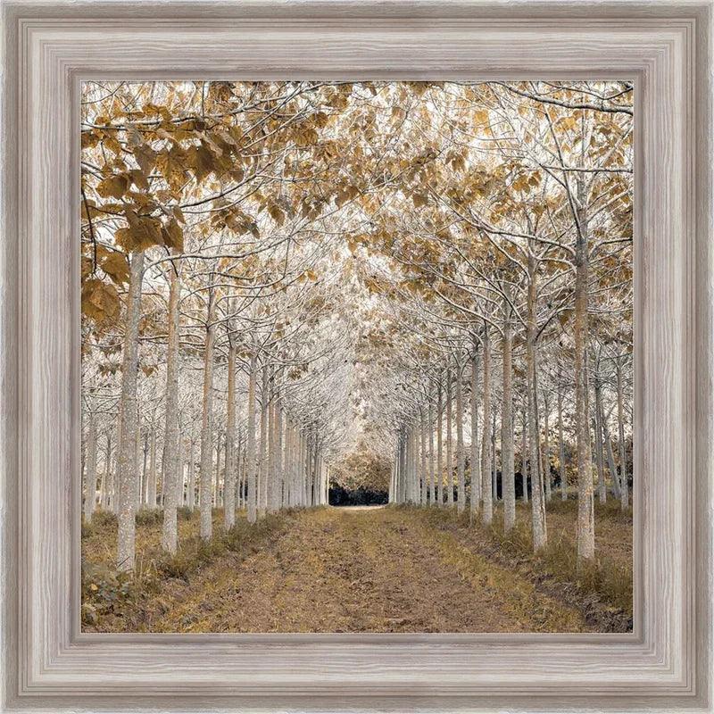 White Gold Forest Picture Print with Frame - Original Frame