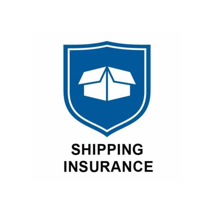 Expedited Shipping + Product Insurance - Original Frame