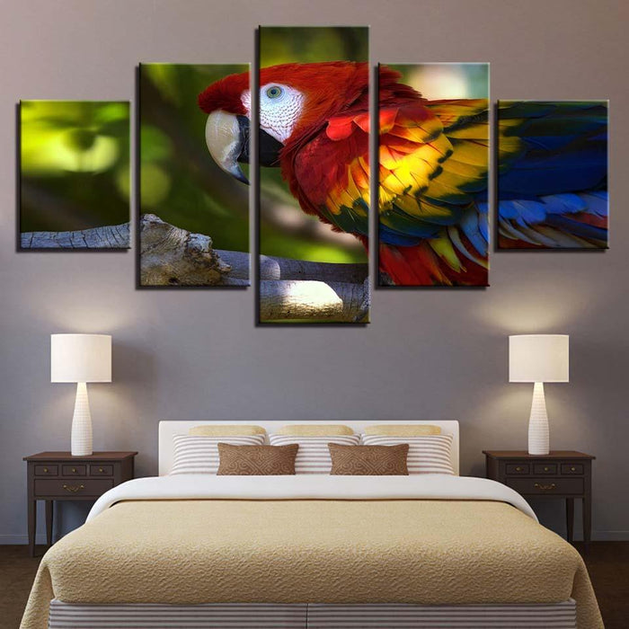 Colorful Parrot 5 Piece HD Multi Panel Canvas Wall Art Frame - Original Frame