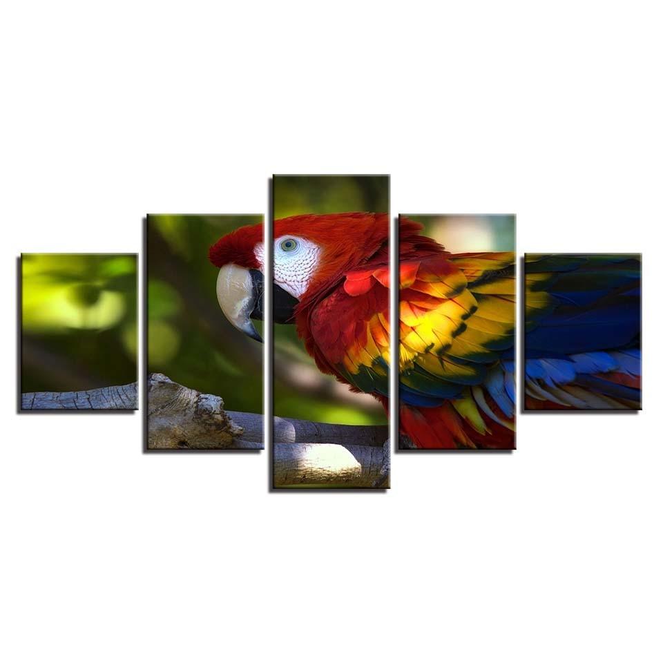 Colorful Parrot 5 Piece HD Multi Panel Canvas Wall Art Frame - Original Frame