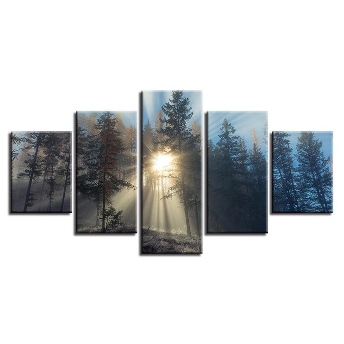 The Forest Light 5 Piece HD Multi Panel Canvas Wall Art Frame