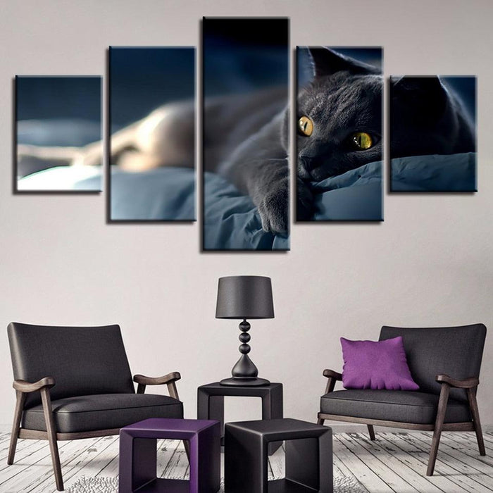 Lazy Grey Cat 5 Piece HD Multi Panel Canvas Wall Art Frame