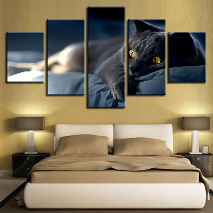 Lazy Grey Cat 5 Piece HD Multi Panel Canvas Wall Art Frame