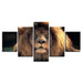 Animal Lion 5 Piece HD Multi Panel Canvas Wall Art Frame - Original Frame