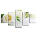 White Roses 5 Piece HD Multi Panel Canvas Wall Art Frame - Original Frame