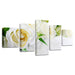 White Roses 5 Piece HD Multi Panel Canvas Wall Art Frame - Original Frame