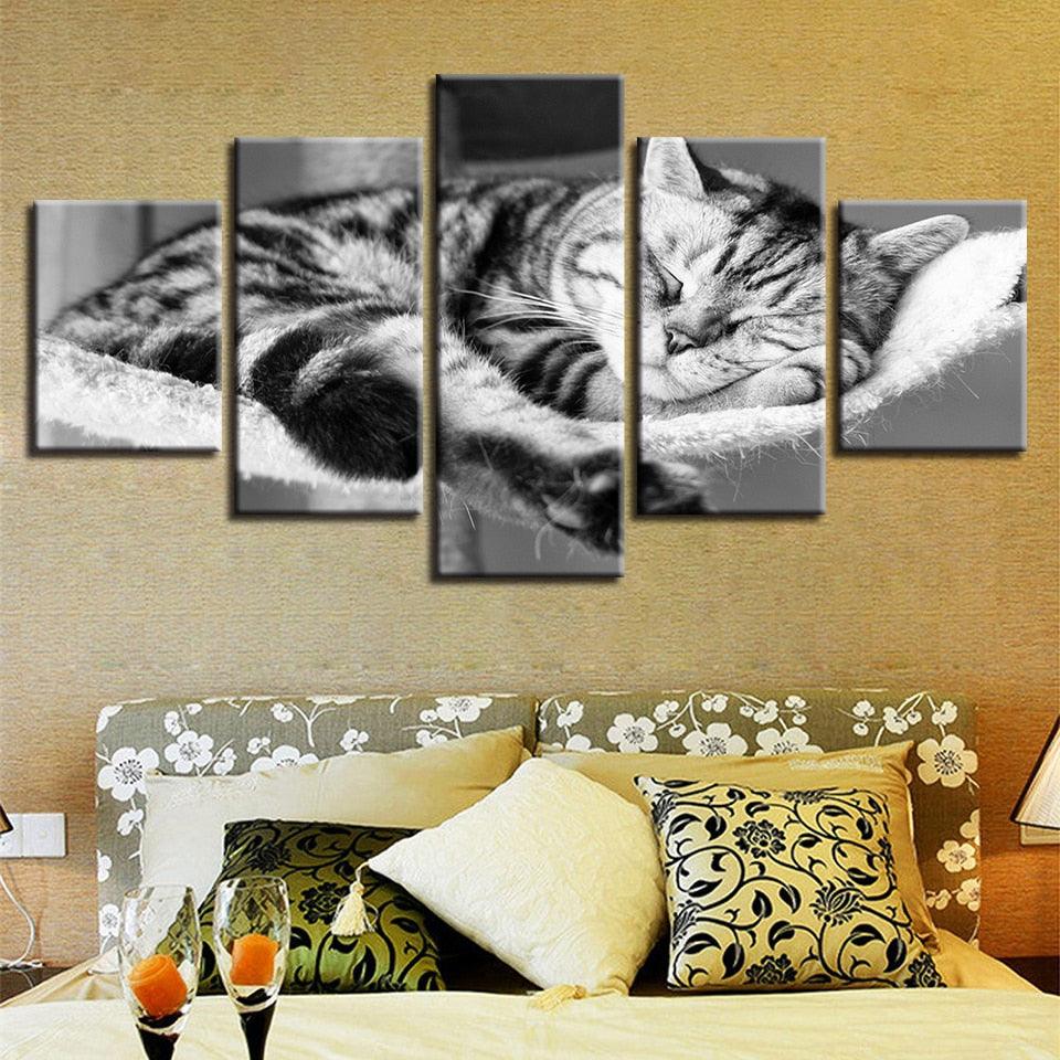 Sleeping Cat 5 Piece HD Multi Panel Canvas Wall Art Frame - Original Frame