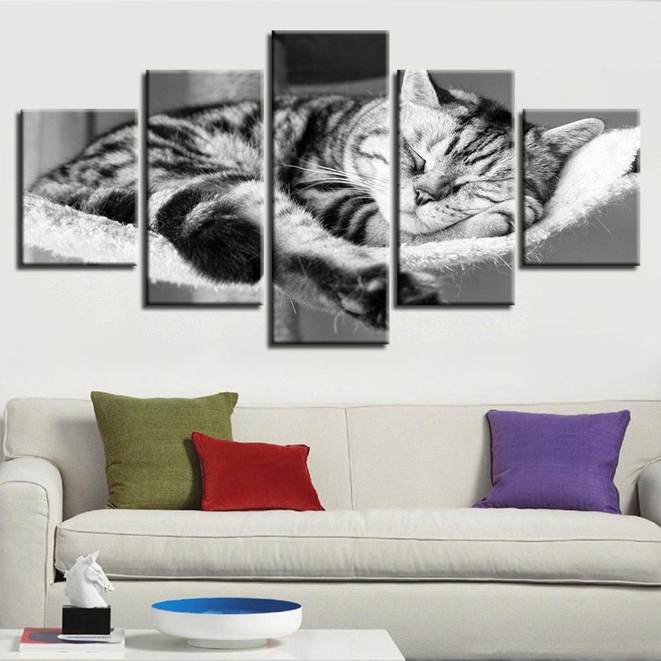 Sleeping Cat 5 Piece HD Multi Panel Canvas Wall Art Frame - Original Frame
