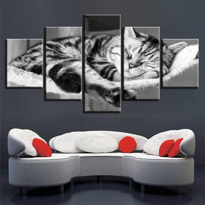 Sleeping Cat 5 Piece HD Multi Panel Canvas Wall Art Frame - Original Frame