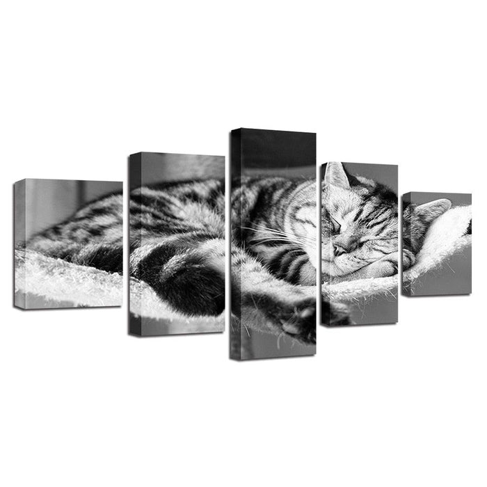 Sleeping Cat 5 Piece HD Multi Panel Canvas Wall Art Frame - Original Frame