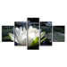 White Lotus 5 Piece HD Multi Panel Canvas Wall Art Frame - Original Frame