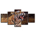 Tiger Yawning 5 Piece HD Multi Panel Canvas Wall Art Frame - Original Frame