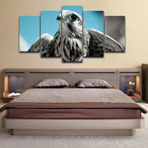 Hawk 5 Piece HD Multi Panel Canvas Wall Art Frame - Original Frame