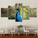 Peacock 5 Piece Multi Panel Canvas Wall Art Frame - Original Frame