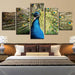 Peacock 5 Piece Multi Panel Canvas Wall Art Frame - Original Frame