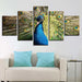 Peacock 5 Piece Multi Panel Canvas Wall Art Frame - Original Frame