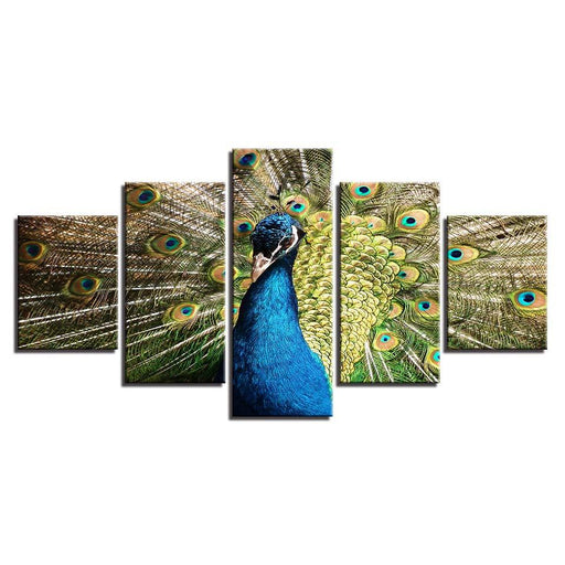 Peacock 5 Piece Multi Panel Canvas Wall Art Frame - Original Frame