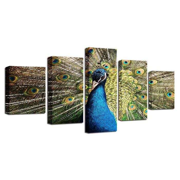 Peacock 5 Piece Multi Panel Canvas Wall Art Frame - Original Frame