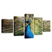 Peacock 5 Piece Multi Panel Canvas Wall Art Frame - Original Frame