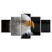 Bald Eagle 5 Piece HD Multi Panel Canvas Wall Art Frame - Original Frame