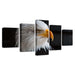 Bald Eagle 5 Piece HD Multi Panel Canvas Wall Art Frame - Original Frame