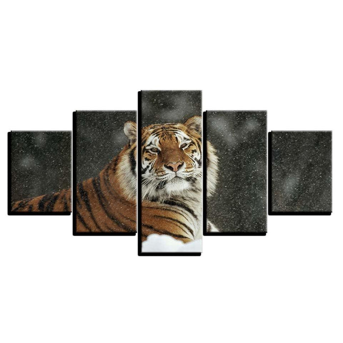 Male Tiger In Snow 5 Piece HD Multi Panel Canvas Wall Art Frame