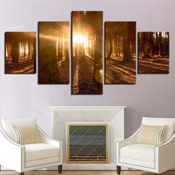 Forest Light 5 Piece HD Multi Panel Canvas Wall Art Frame - Original Frame