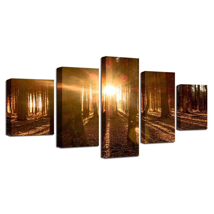 Forest Light 5 Piece HD Multi Panel Canvas Wall Art Frame - Original Frame