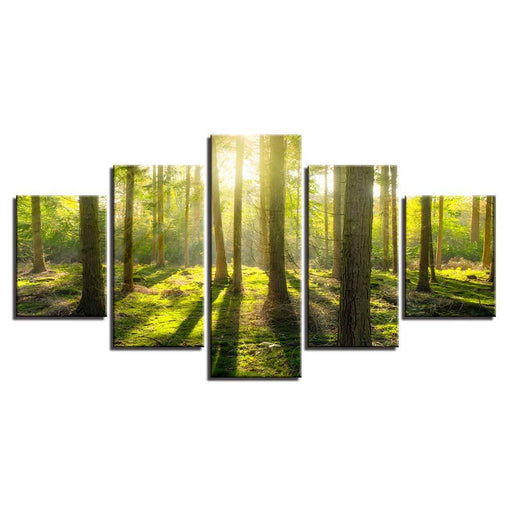 Sunlit Woods 5 Piece HD Multi Panel Canvas Wall Art Frame - Original Frame