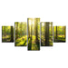 Sunlit Woods 5 Piece HD Multi Panel Canvas Wall Art Frame - Original Frame