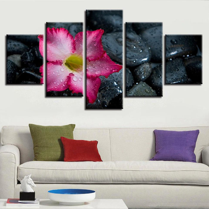 Lily And Stones 5 Piece HD Multi Panel Canvas Wall Art Frame - Original Frame