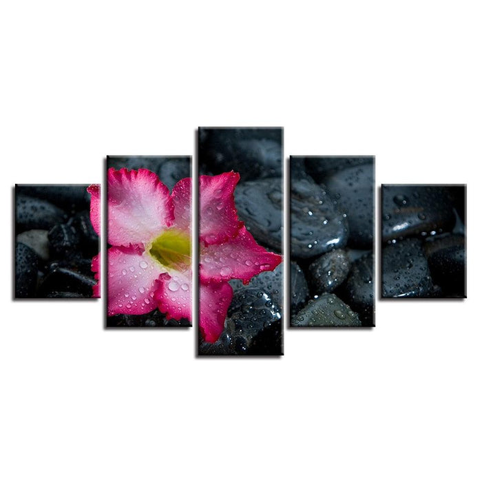 Lily And Stones 5 Piece HD Multi Panel Canvas Wall Art Frame - Original Frame