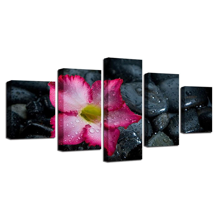 Lily And Stones 5 Piece HD Multi Panel Canvas Wall Art Frame - Original Frame