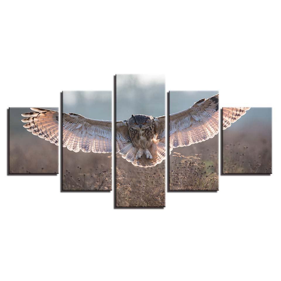 Owl Wings 5 Piece HD Multi Panel Canvas Wall Art Frame - Original Frame