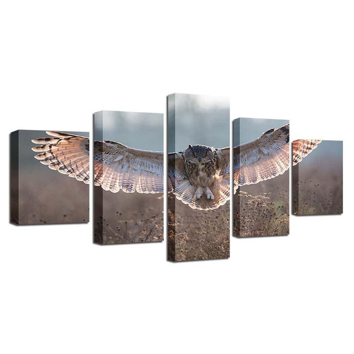 Owl Wings 5 Piece HD Multi Panel Canvas Wall Art Frame - Original Frame