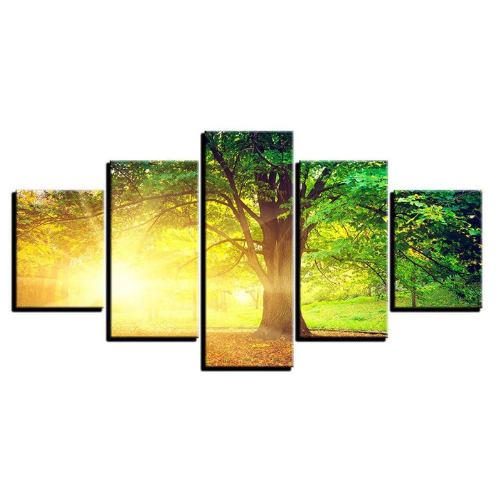 Sunlit Tree 5 Piece HD Multi Panel Canvas Wall Art Frame - Original Frame