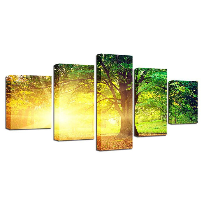 Sunlit Tree 5 Piece HD Multi Panel Canvas Wall Art Frame - Original Frame