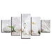 White Phalaenopsis 5 Piece HD Multi Panel Canvas Wall Art Frame - Original Frame