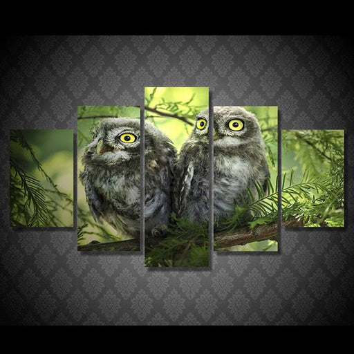 Owl Couple 5 Piece HD Multi Panel Canvas Wall Art Frame - Original Frame