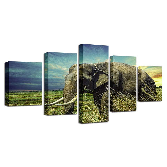 Elephant And The Sky 5 Piece HD Multi Panel Canvas Wall Art Frame - Original Frame