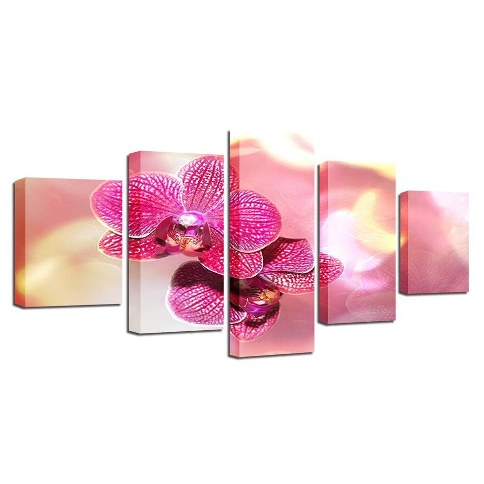 Pink Moth Orchid Flower 5 Piece HD Multi Panel Canvas Wall Art Frame - Original Frame