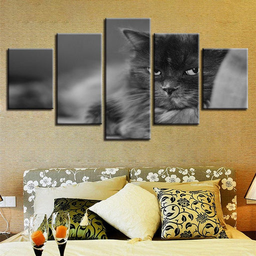 Cute Cat 5 Piece HD Multi Panel Canvas Wall Art Frame - Original Frame